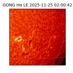 gong - 2025-11-25T02:00:42