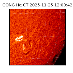 gong - 2025-11-25T12:00:42