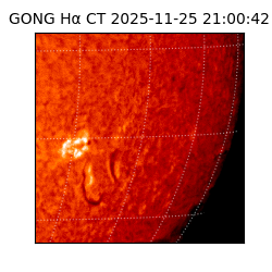gong - 2025-11-25T21:00:42