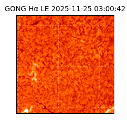 gong - 2025-11-25T03:00:42