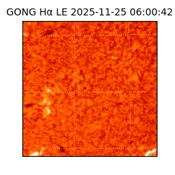 gong - 2025-11-25T06:00:42