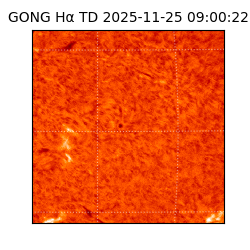 gong - 2025-11-25T09:00:22