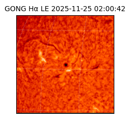 gong - 2025-11-25T02:00:42