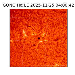 gong - 2025-11-25T04:00:42