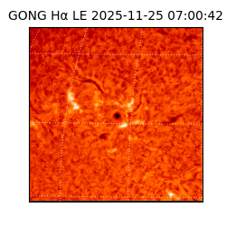 gong - 2025-11-25T07:00:42