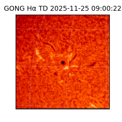 gong - 2025-11-25T09:00:22