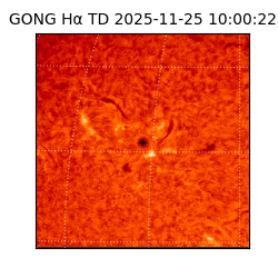 gong - 2025-11-25T10:00:22