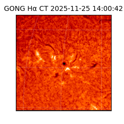 gong - 2025-11-25T14:00:42