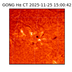 gong - 2025-11-25T15:00:42