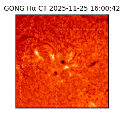 gong - 2025-11-25T16:00:42