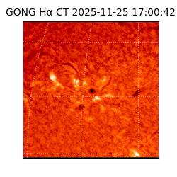 gong - 2025-11-25T17:00:42