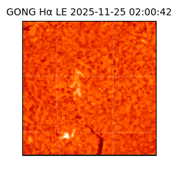 gong - 2025-11-25T02:00:42