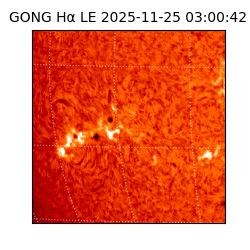 gong - 2025-11-25T03:00:42