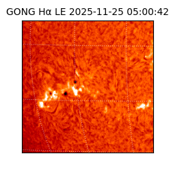 gong - 2025-11-25T05:00:42