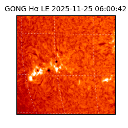 gong - 2025-11-25T06:00:42