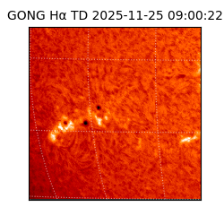 gong - 2025-11-25T09:00:22