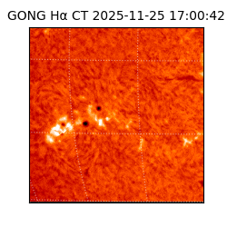 gong - 2025-11-25T17:00:42