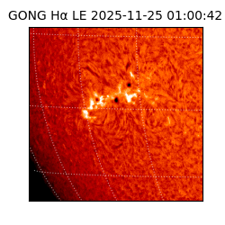 gong - 2025-11-25T01:00:42