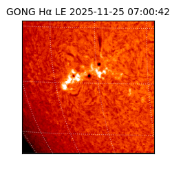 gong - 2025-11-25T07:00:42