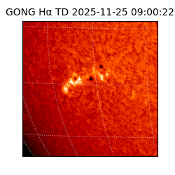 gong - 2025-11-25T09:00:22