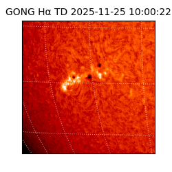 gong - 2025-11-25T10:00:22