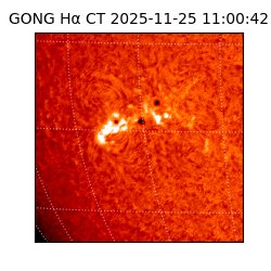 gong - 2025-11-25T11:00:42