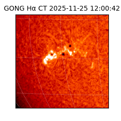 gong - 2025-11-25T12:00:42