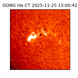 gong - 2025-11-25T15:00:42
