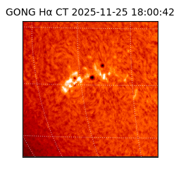 gong - 2025-11-25T18:00:42