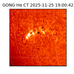 gong - 2025-11-25T19:00:42