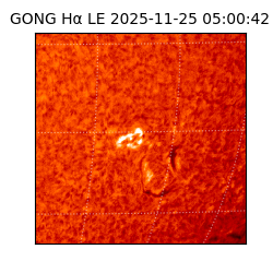 gong - 2025-11-25T05:00:42