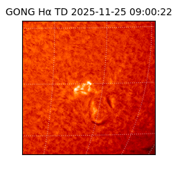 gong - 2025-11-25T09:00:22