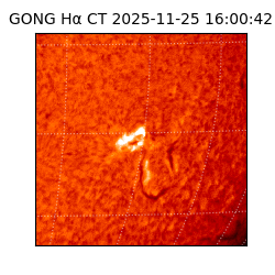 gong - 2025-11-25T16:00:42