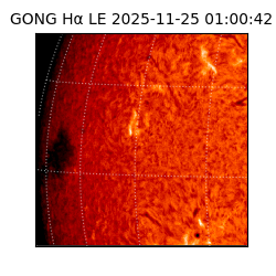 gong - 2025-11-25T01:00:42