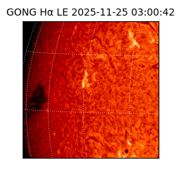 gong - 2025-11-25T03:00:42