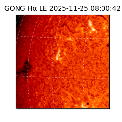 gong - 2025-11-25T08:00:42