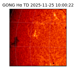 gong - 2025-11-25T10:00:22
