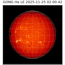 gong - 2025-11-25T02:00:42