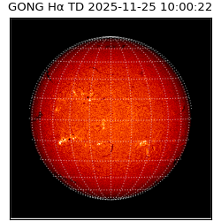 gong - 2025-11-25T10:00:22