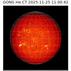 gong - 2025-11-25T11:00:42