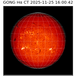 gong - 2025-11-25T16:00:42