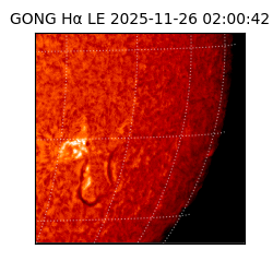 gong - 2025-11-26T02:00:42