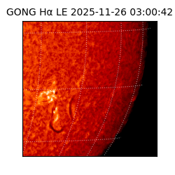 gong - 2025-11-26T03:00:42