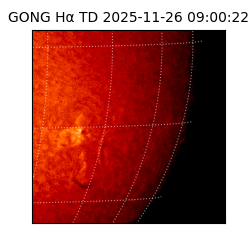 gong - 2025-11-26T09:00:22