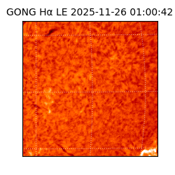 gong - 2025-11-26T01:00:42