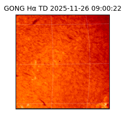 gong - 2025-11-26T09:00:22