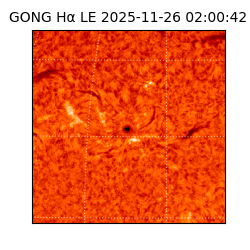 gong - 2025-11-26T02:00:42