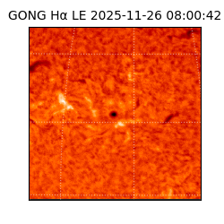 gong - 2025-11-26T08:00:42