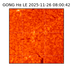 gong - 2025-11-26T08:00:42
