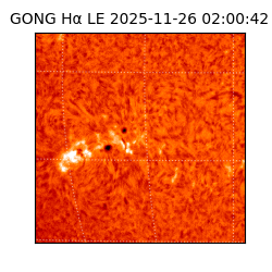 gong - 2025-11-26T02:00:42